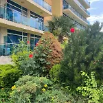Gallery A ساني بيتش