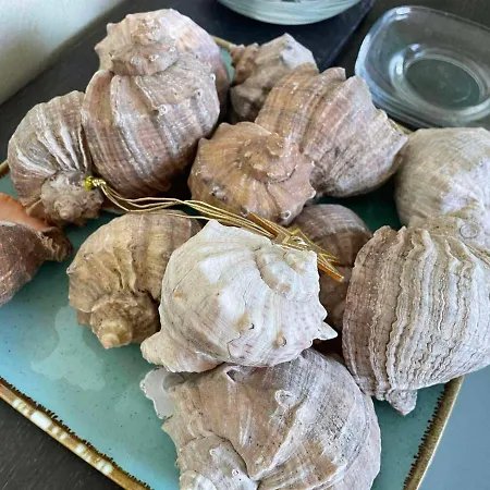 Gallery A Apartment Slantschew brjag