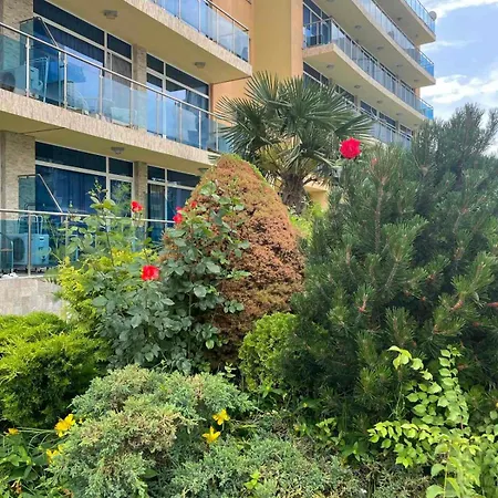 Gallery A Sunny Beach