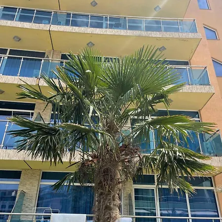 Gallery A * סאני ביץ'